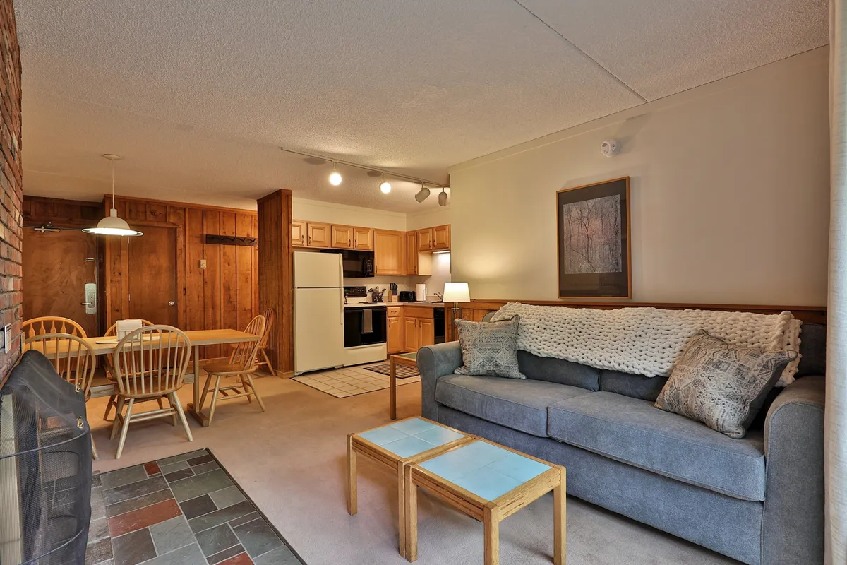 This open-concept space combines a plush sofa with throw pillows, a wooden dining table with chairs, and a visible kitchen area equipped with modern appliances. The layout is spacious and homey, ideal for family relaxation, casual dining, and shared activities.